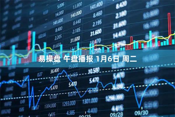 易操盘 午盘播报 1月6日 周二
